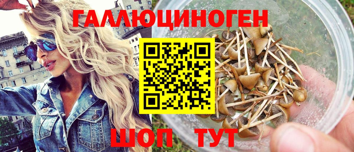 Галлюциногенные грибы Psilocybine cubensis Кувандык